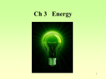 Energy - Petfinder