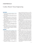 Chapter II.6.11 - Cardiac Muscle Tissue Engineering