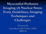 Myocardial Perfusion Imaging: An Overview