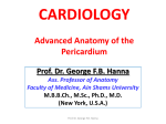 Advanced Anatomy of the Pericardium