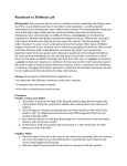 Reactions vs. Reflexes Lab