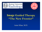 IMAGE GUIDED THERAPY FELLOW REPORT