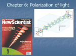 Optically polarized atoms_Light_Polarization