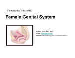 Female Genital System - Johns Hopkins Pathology