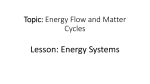 Lesson Title: Energy Flow and Matter Cycles