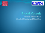 Blood Vessels - Learning Central