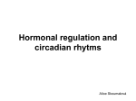 Hormonal regulation and circadian rhytms