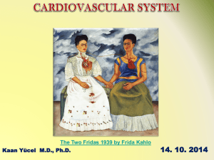 4. Cardiovascular System - yeditepe anatomy fhs 121