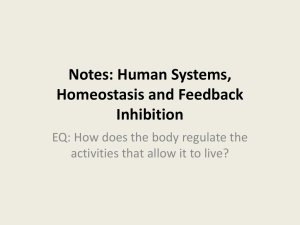 Notes: Human Systems, Homeostasis and Feedback Inhibition