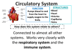 Body System QR Code