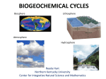 Biogeochemical Cycles PPT