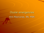 16 - Ocular Emergencies