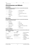 Sexual Reproduction and Meiosis Work