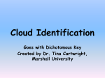 Cloud Identification