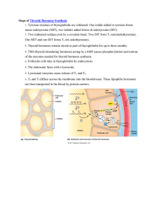 Steps of Thyroid Hormone Synthesis 1. Tyrosine residues of