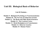 Unit III: Biological Basis of Behavior