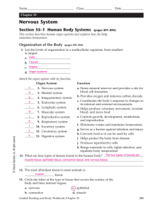 Chapter 35 Nervous System, TE