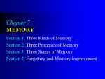 chapter 7 memory - Bemidji Area Schools