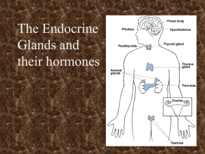 Hormones of the Body