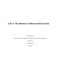 Lab 4: The Human Cardiovascular System