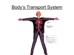 Body`s Transport System