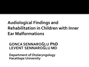 Classification of Inner Ear MalformatIons