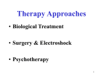 Therapy Approaches