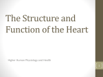 The Structure and Function of the Heart