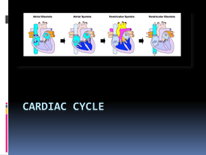 Cardiac Cycle