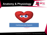 Cardiovascular system File