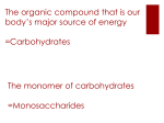 The organic compound that is our body*s major source of energy