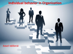 Individual behavior in Organization