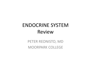 endocrine system - Fullfrontalanatomy.com