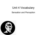 vocab review unit 4 sensation and perception