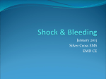 Shock - Silver Cross EMS System