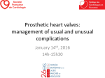 Prosthetic heart valves