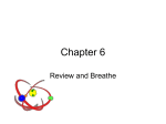 Chapter 6 review