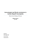 Immunological and fibrotic mechanisms in Cardiac Allograft