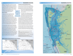 Sea Surface Currents Sea Surface Currents