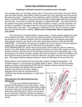 Human Pulse and Blood Pressure Lab.doc