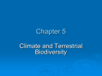 Chapter 5 - Environmental
