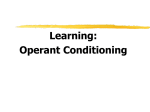 Operant Conditioning