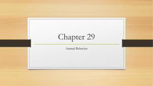 Chapter 29