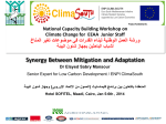 Synergy Between Mitigation and Adaptation