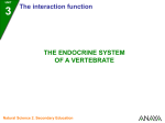 3 The endocrine system of a vertebrate
