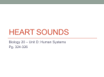 Heart Sounds - Megan Semel