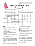 Heart Circulation Crossword