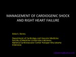 management of cardiogenic shock and right heart failure
