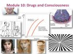 M10e Mod 10 Drugs and Consciousness