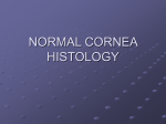 Cornea pathology A lecture covering a range of corneal